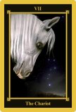 The Chariot tarot card