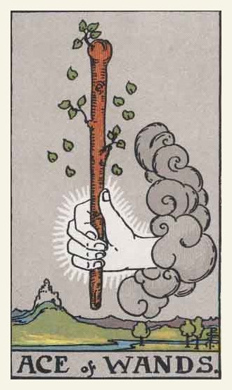 Ace of Wands Tarot card