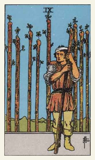 Nine of Wands Tarot card